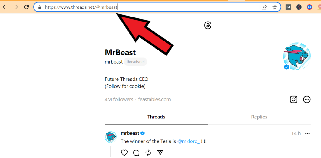 Paste the link in the browser
